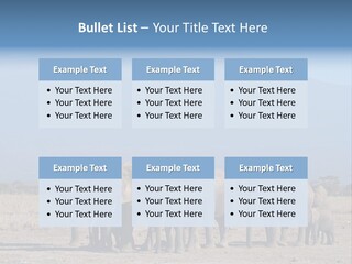 A Herd Of Elephants Standing In Front Of A Mountain PowerPoint Template