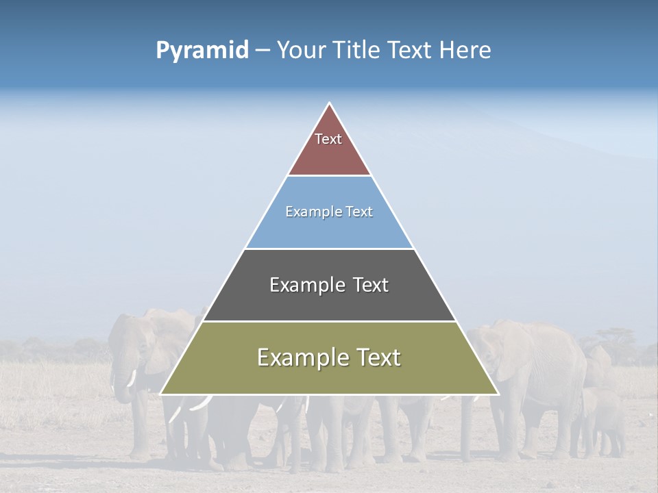 A Herd Of Elephants Standing In Front Of A Mountain PowerPoint Template