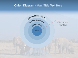 A Herd Of Elephants Standing In Front Of A Mountain PowerPoint Template