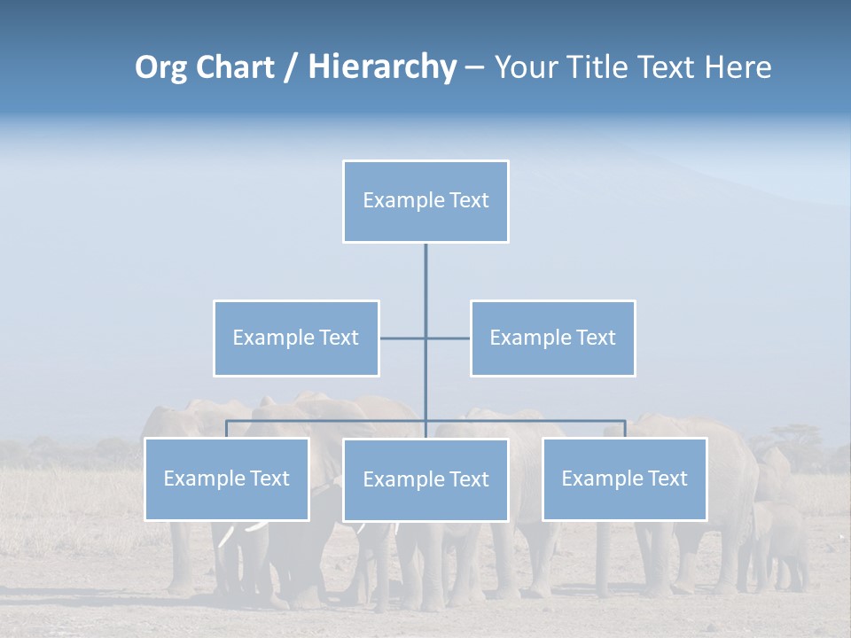 A Herd Of Elephants Standing In Front Of A Mountain PowerPoint Template