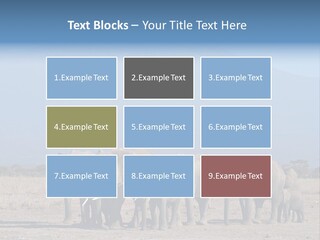 A Herd Of Elephants Standing In Front Of A Mountain PowerPoint Template