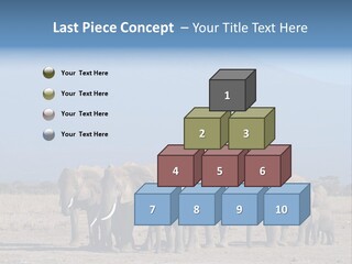 A Herd Of Elephants Standing In Front Of A Mountain PowerPoint Template
