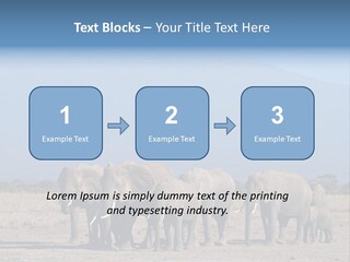 A Herd Of Elephants Standing In Front Of A Mountain PowerPoint Template