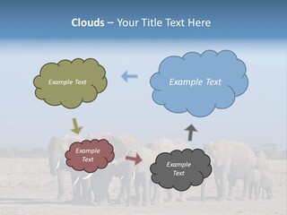 A Herd Of Elephants Standing In Front Of A Mountain PowerPoint Template
