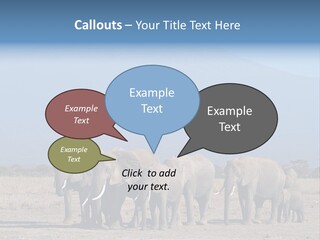 A Herd Of Elephants Standing In Front Of A Mountain PowerPoint Template