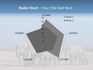 A Herd Of Elephants Standing In Front Of A Mountain PowerPoint Template