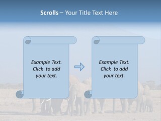 A Herd Of Elephants Standing In Front Of A Mountain PowerPoint Template