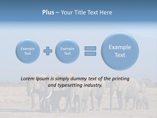 A Herd Of Elephants Standing In Front Of A Mountain PowerPoint Template