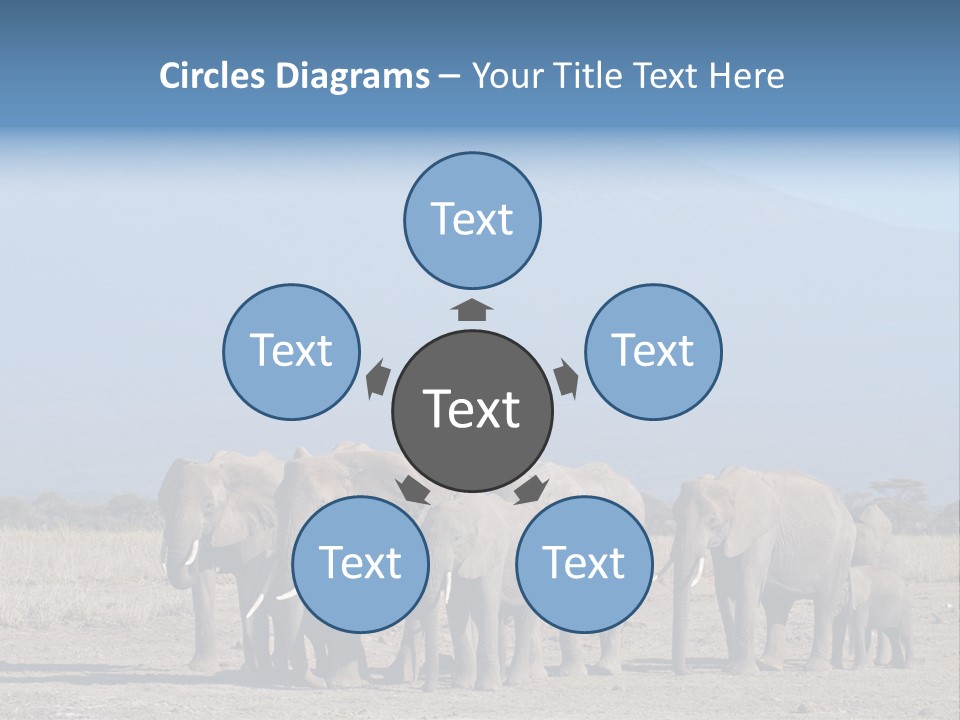 A Herd Of Elephants Standing In Front Of A Mountain PowerPoint Template