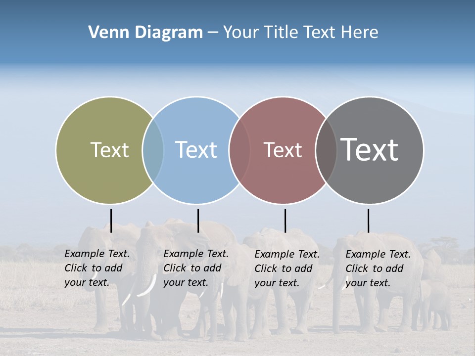 A Herd Of Elephants Standing In Front Of A Mountain PowerPoint Template