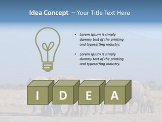 A Herd Of Elephants Standing In Front Of A Mountain PowerPoint Template
