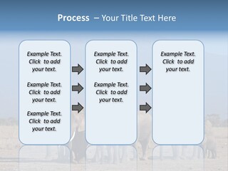 A Herd Of Elephants Standing In Front Of A Mountain PowerPoint Template