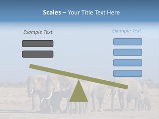 A Herd Of Elephants Standing In Front Of A Mountain PowerPoint Template