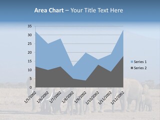 A Herd Of Elephants Standing In Front Of A Mountain PowerPoint Template