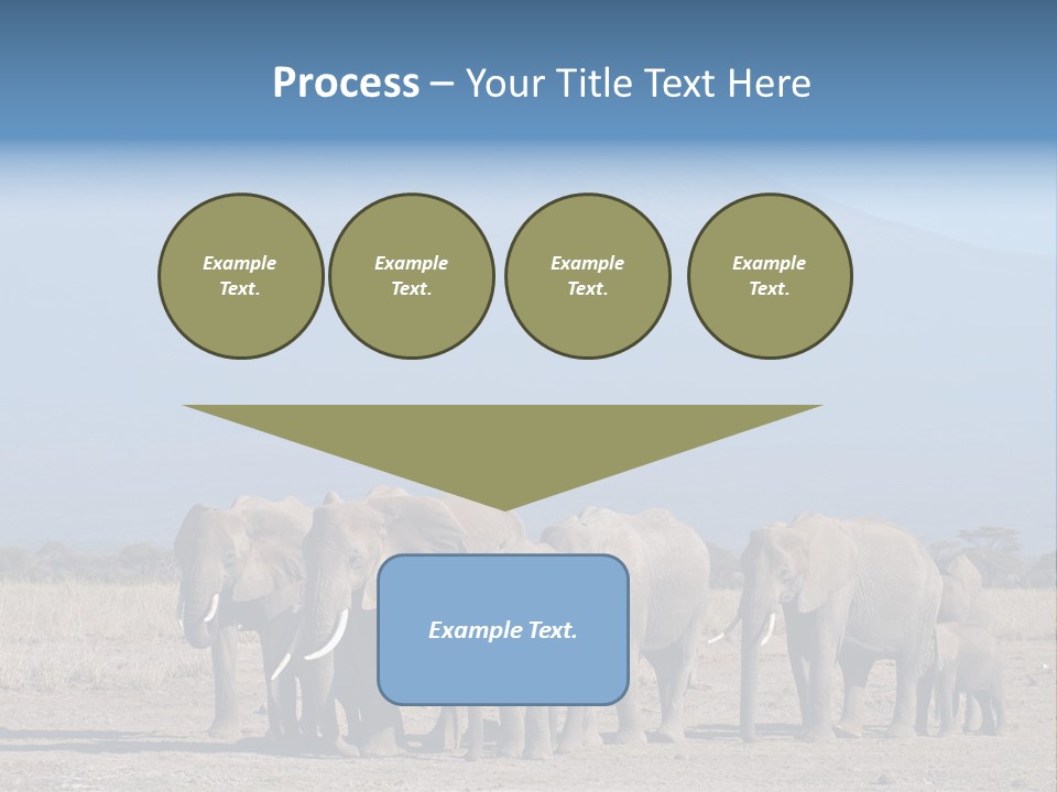 A Herd Of Elephants Standing In Front Of A Mountain PowerPoint Template