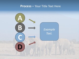 A Herd Of Elephants Standing In Front Of A Mountain PowerPoint Template