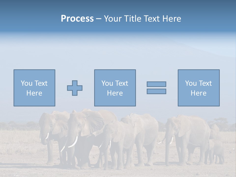 A Herd Of Elephants Standing In Front Of A Mountain PowerPoint Template