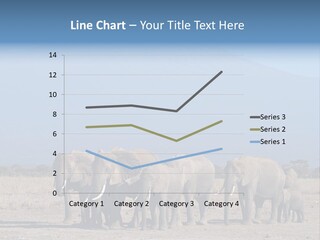 A Herd Of Elephants Standing In Front Of A Mountain PowerPoint Template