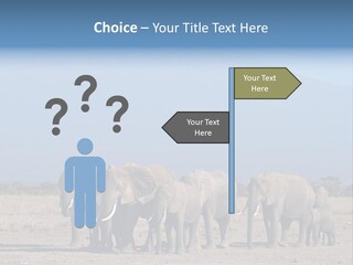 A Herd Of Elephants Standing In Front Of A Mountain PowerPoint Template