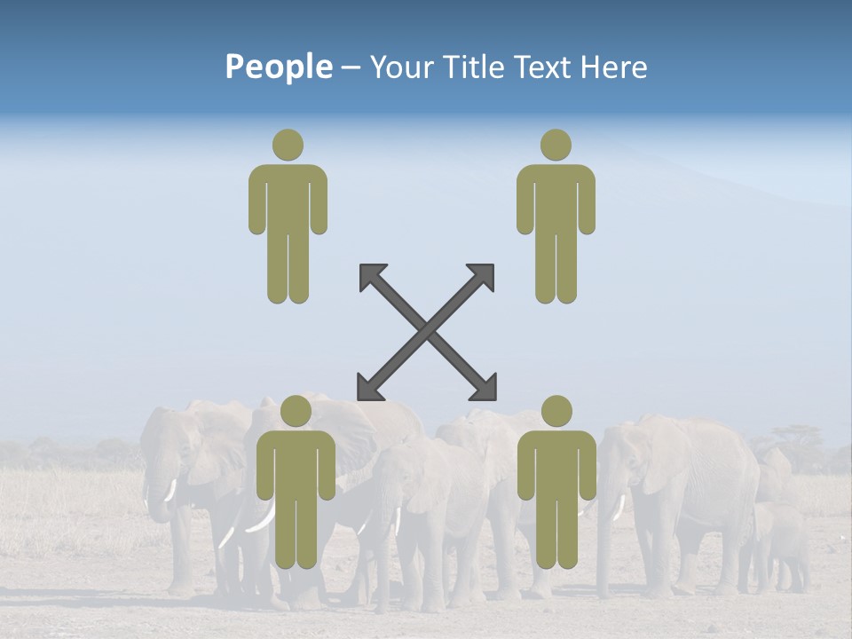 A Herd Of Elephants Standing In Front Of A Mountain PowerPoint Template