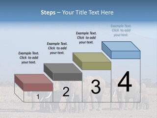 A Herd Of Elephants Standing In Front Of A Mountain PowerPoint Template