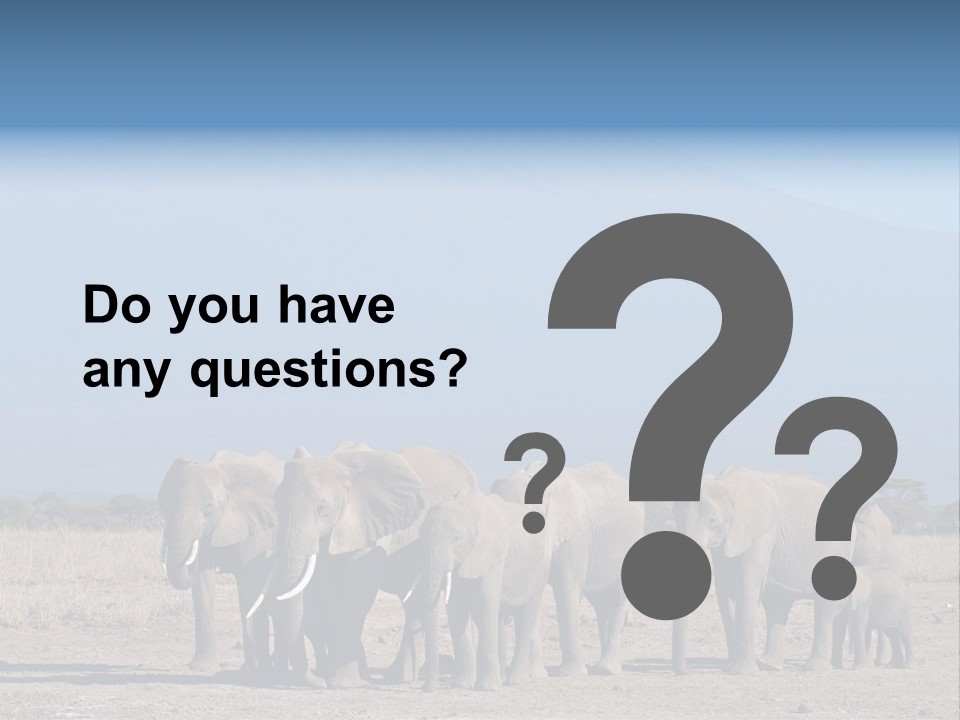 A Herd Of Elephants Standing In Front Of A Mountain PowerPoint Template
