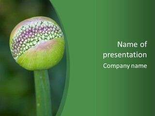 Background Christophy Horticulture PowerPoint Template