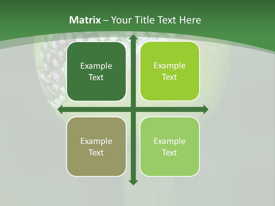 Background Christophy Horticulture PowerPoint Template
