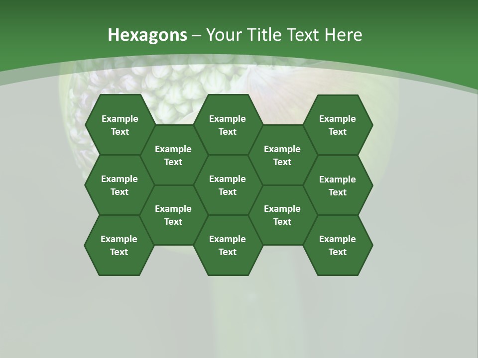 Background Christophy Horticulture PowerPoint Template