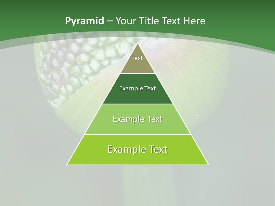 Background Christophy Horticulture PowerPoint Template
