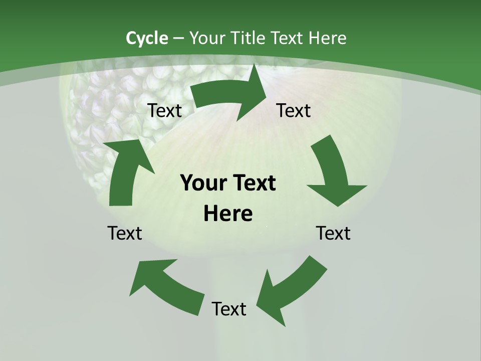 Background Christophy Horticulture PowerPoint Template