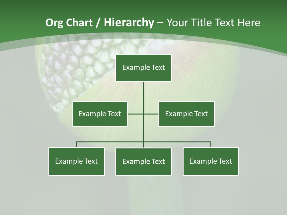 Background Christophy Horticulture PowerPoint Template
