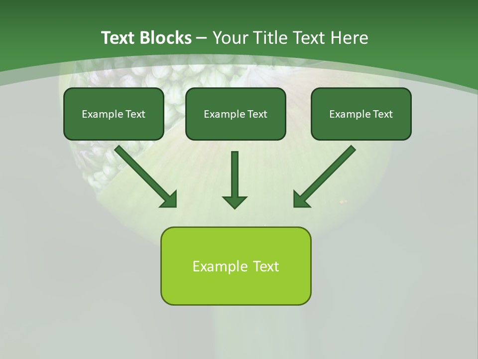 Background Christophy Horticulture PowerPoint Template