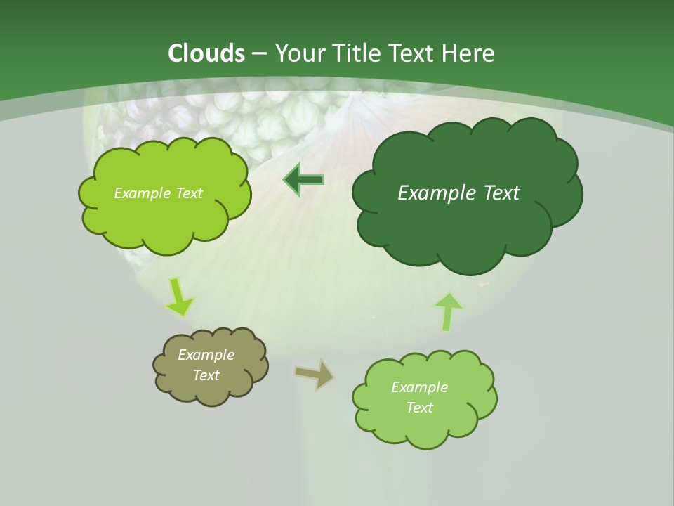 Background Christophy Horticulture PowerPoint Template