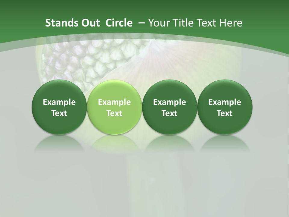 Background Christophy Horticulture PowerPoint Template