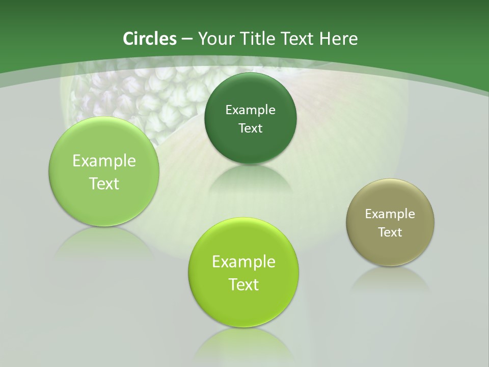 Background Christophy Horticulture PowerPoint Template