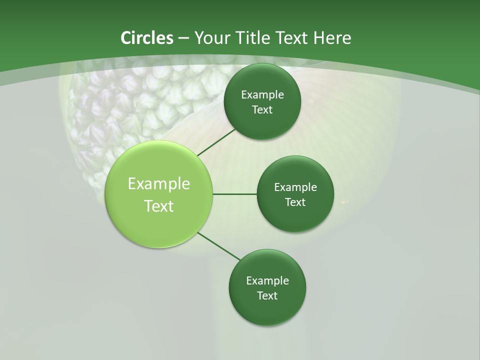 Background Christophy Horticulture PowerPoint Template