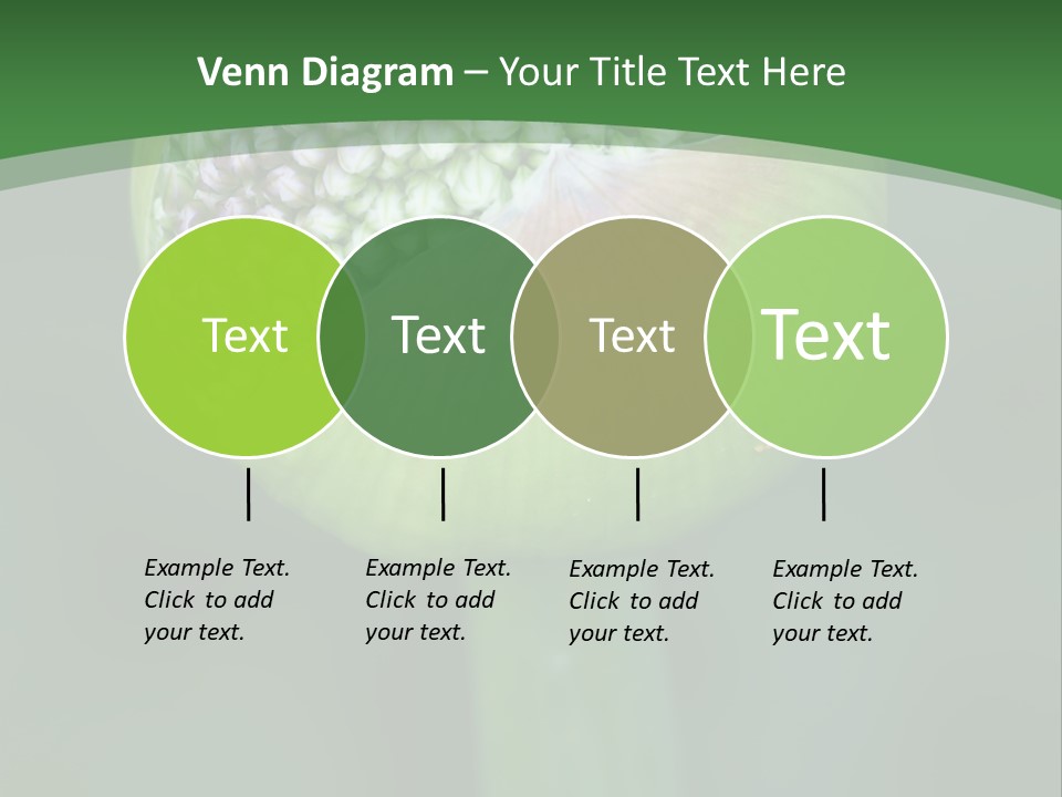 Background Christophy Horticulture PowerPoint Template