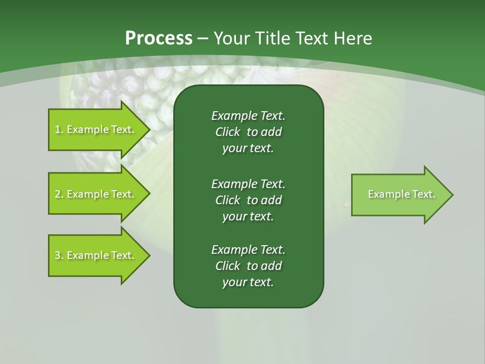 Background Christophy Horticulture PowerPoint Template