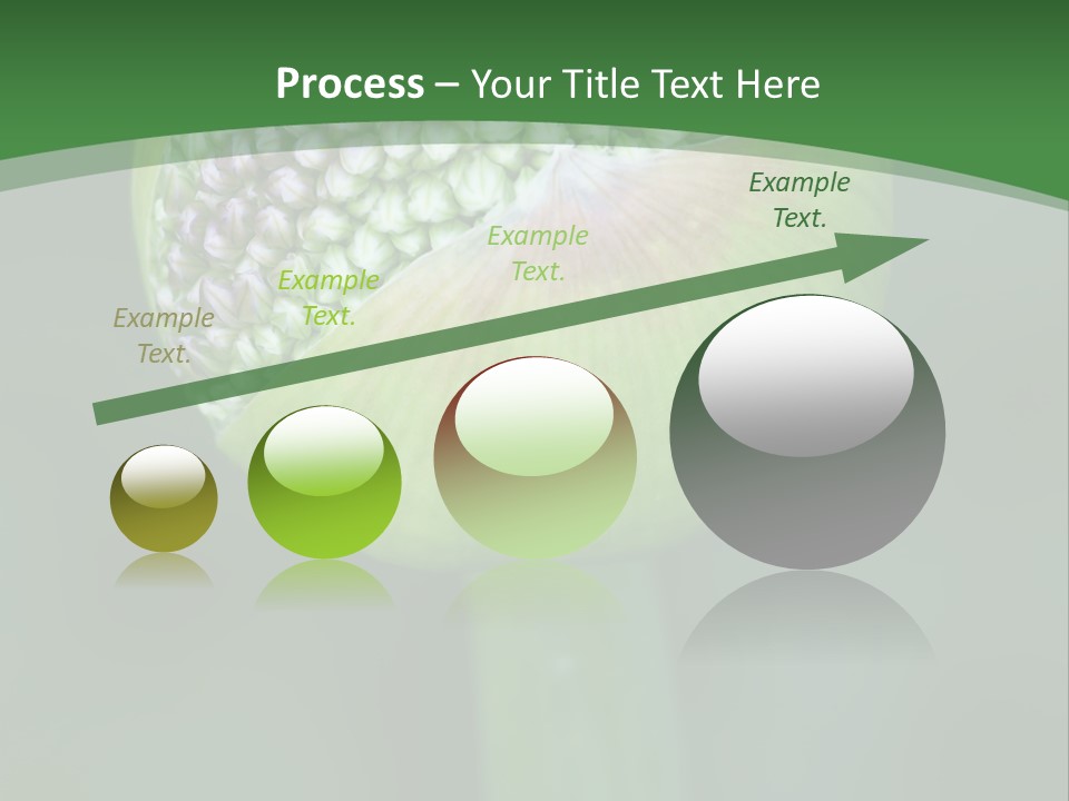 Background Christophy Horticulture PowerPoint Template