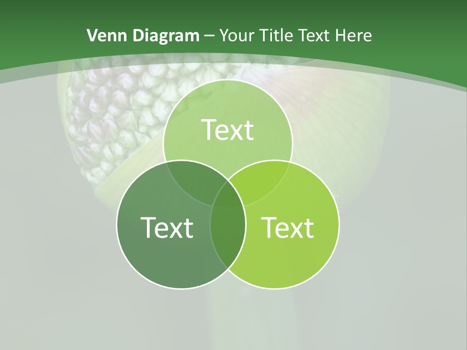 Background Christophy Horticulture PowerPoint Template