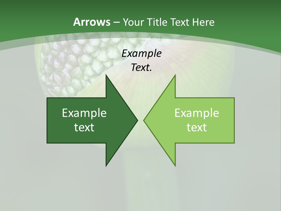 Background Christophy Horticulture PowerPoint Template