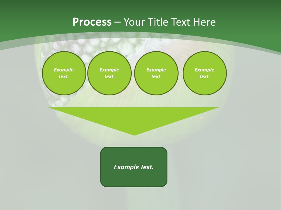 Background Christophy Horticulture PowerPoint Template
