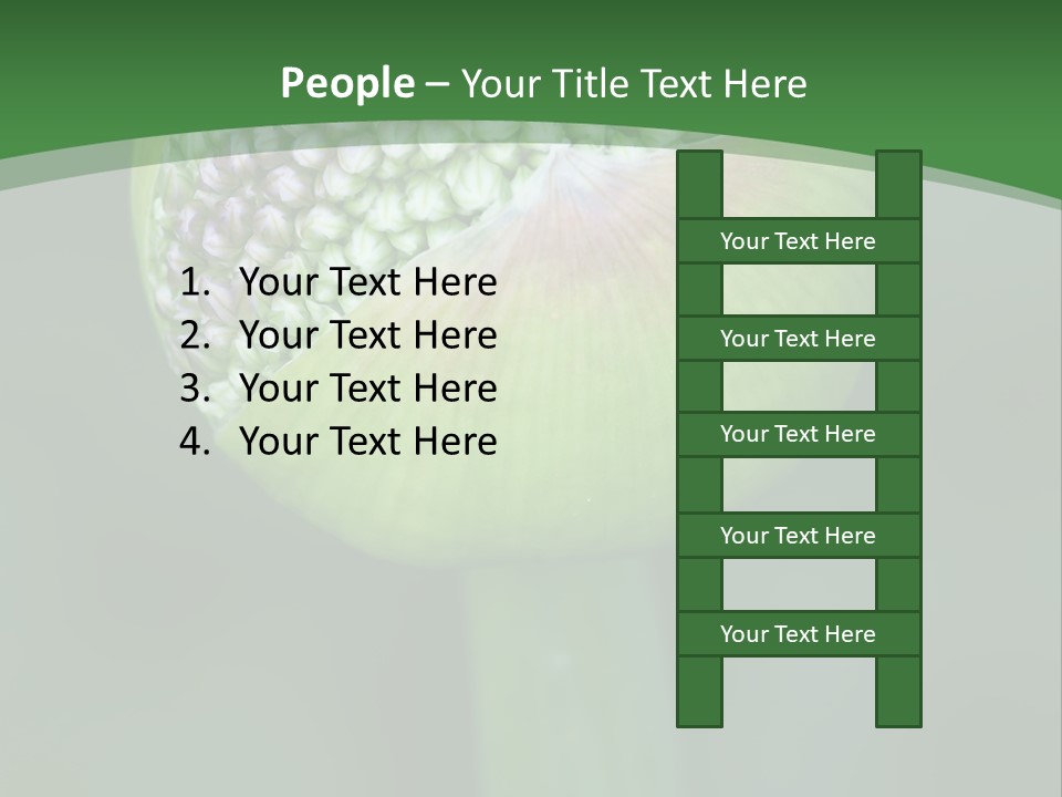 Background Christophy Horticulture PowerPoint Template