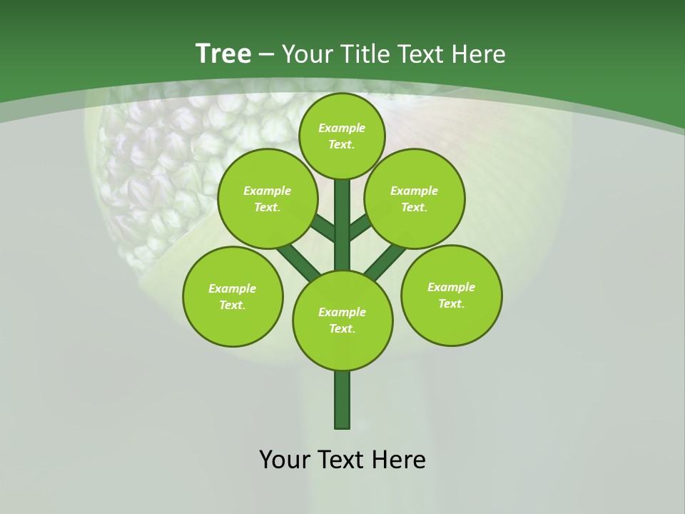 Background Christophy Horticulture PowerPoint Template