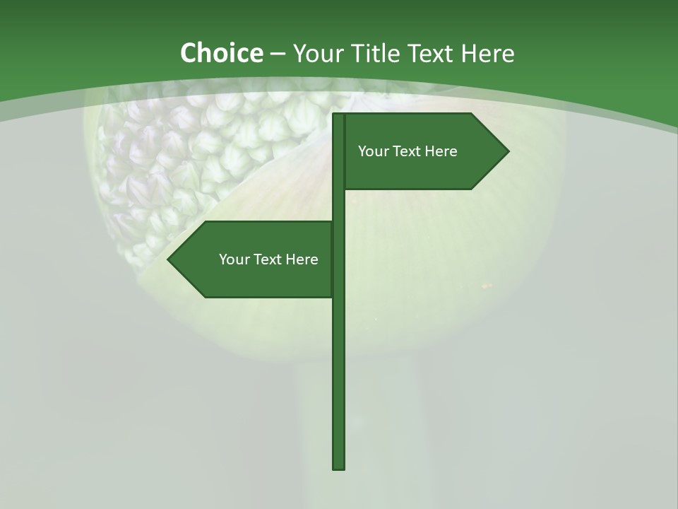 Background Christophy Horticulture PowerPoint Template