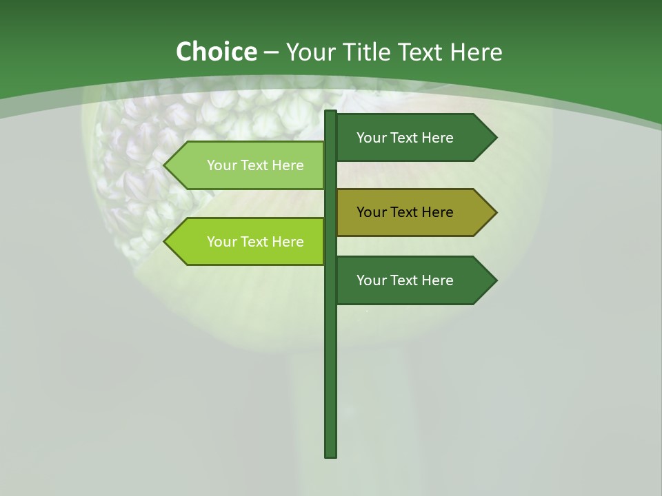 Background Christophy Horticulture PowerPoint Template