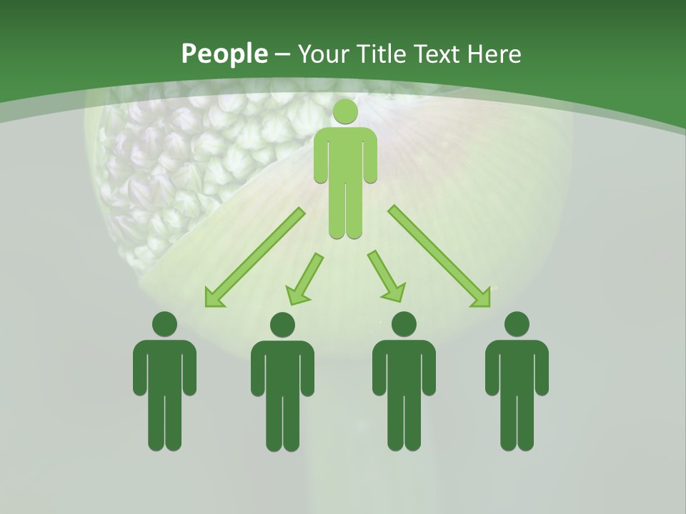 Background Christophy Horticulture PowerPoint Template