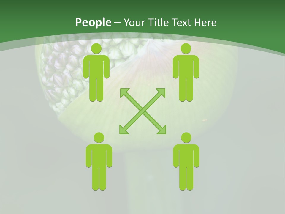 Background Christophy Horticulture PowerPoint Template