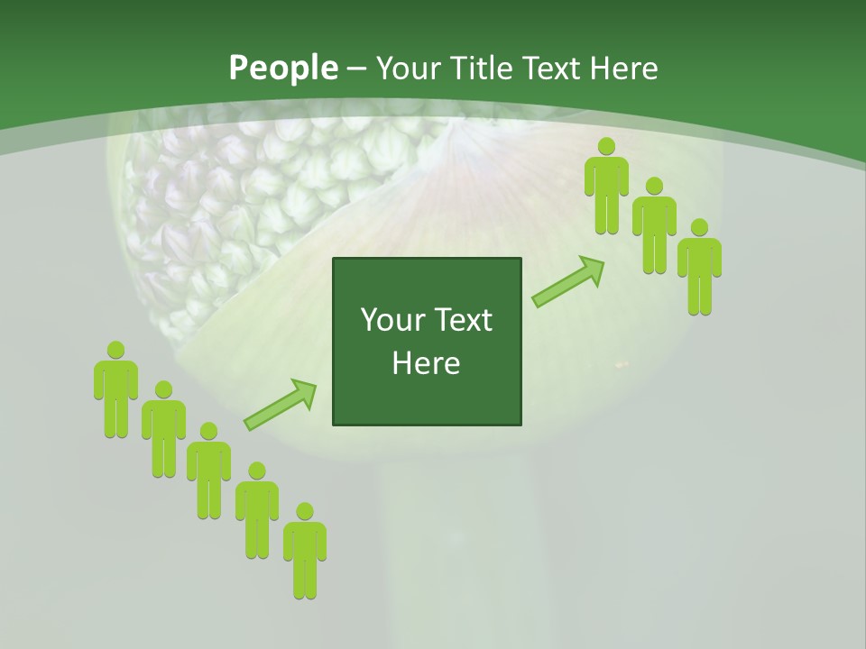 Background Christophy Horticulture PowerPoint Template